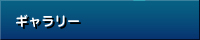 ギャラリー
